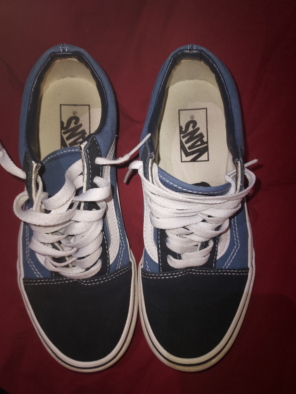 Vans Men's Blue & Black Canvas Low-Top Sneakers